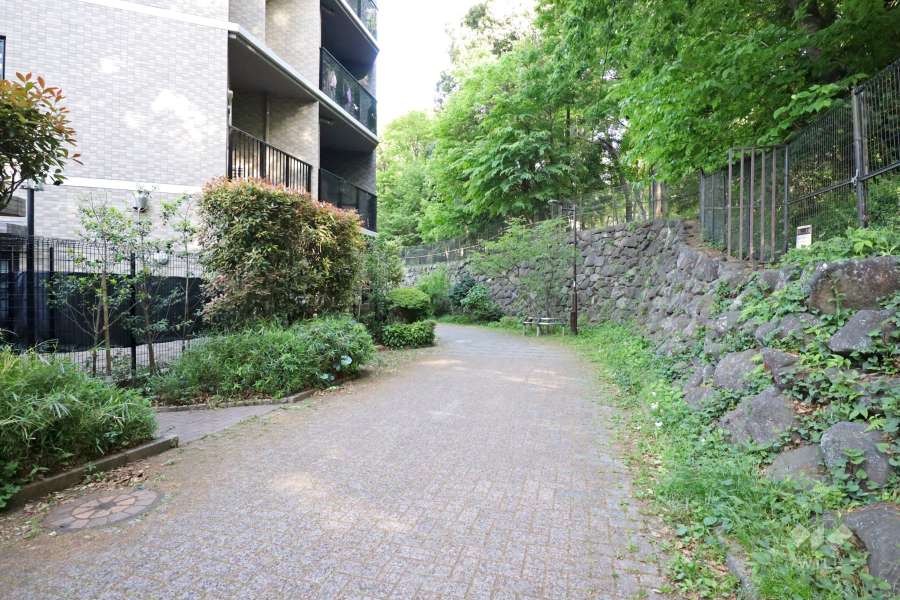 敷地南側は『林試の森公園』に隣接しています。