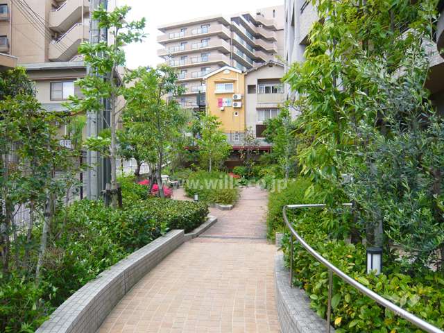 敷地内は緑豊かです