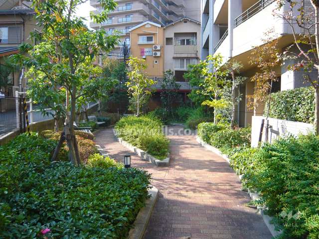 ベンチなどもあります