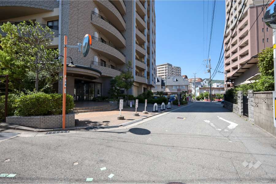 敷地東側の前面道路（南側から）