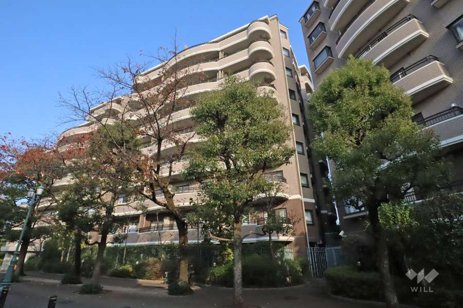 朝日マンション駒場B棟の外観(南西側から)