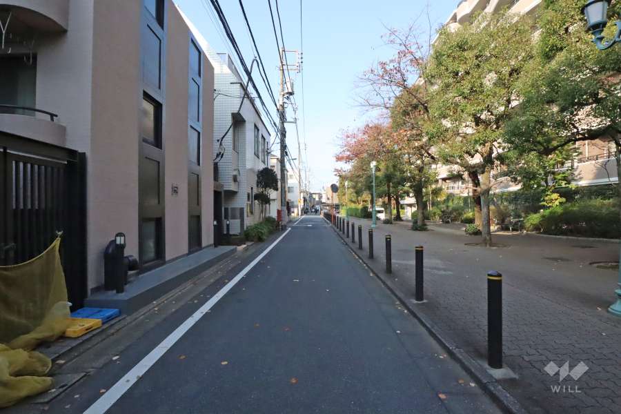 敷地西側の前面道路(南側から)