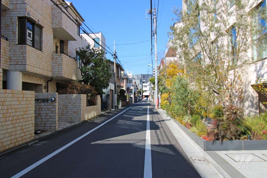 敷地南側の前面道路（東側から）