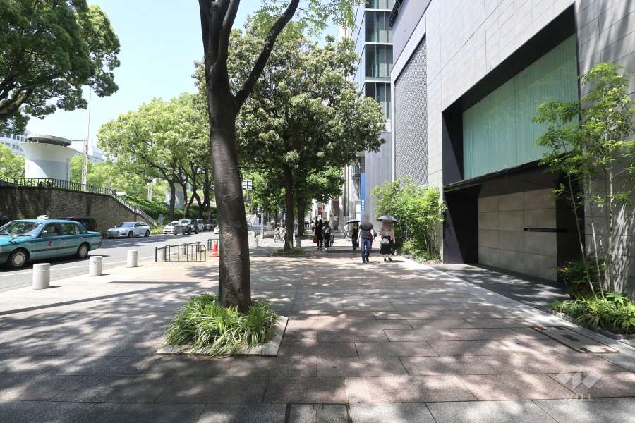 敷地西側の前面道路（南側から）