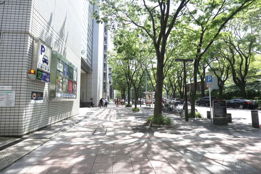 敷地西側の前面道路（北側から）