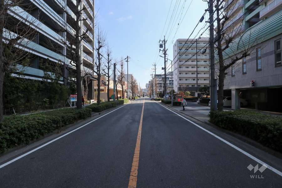 敷地南側の前面道路(西側から)