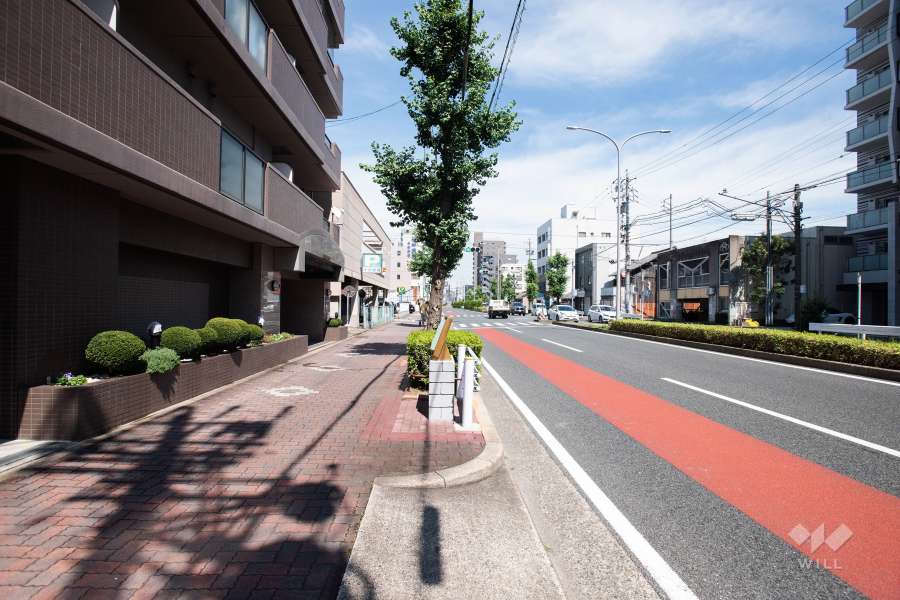 敷地南側の前面道路（西側から）