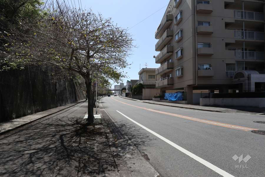 敷地南東側の前面道路（北東側から）