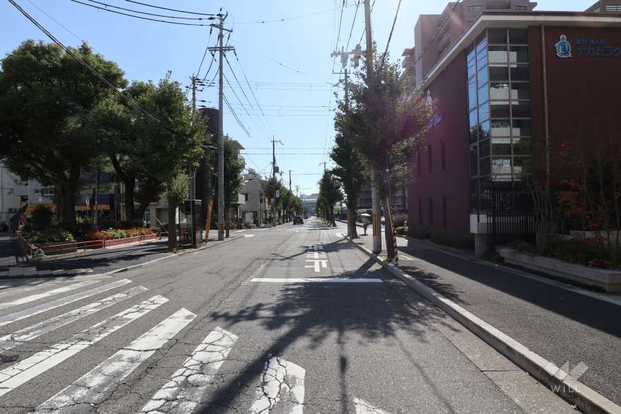 敷地東側の前面道路