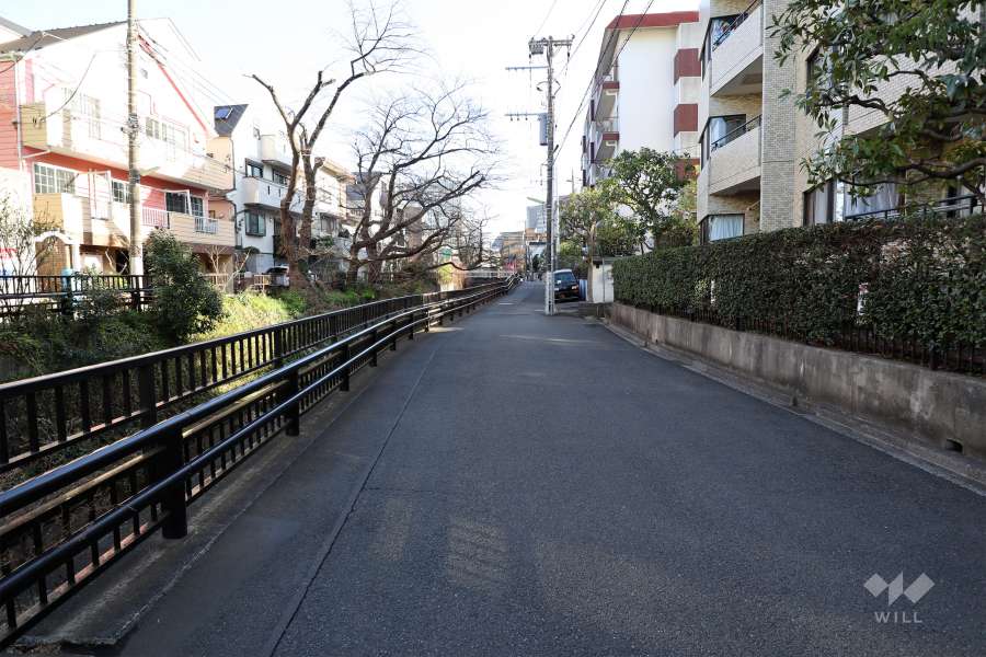 敷地東側の前面道路(北側から)
