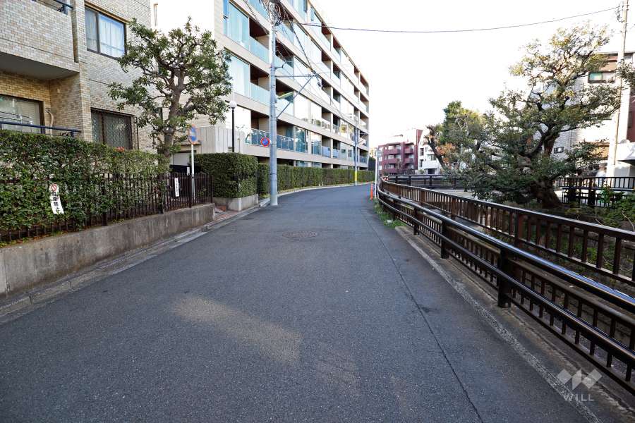 敷地東側の前面道路(南側から)