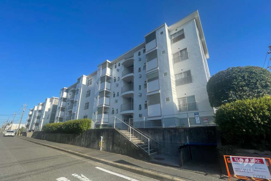 桃山第四住宅16号棟の外観（西側から）