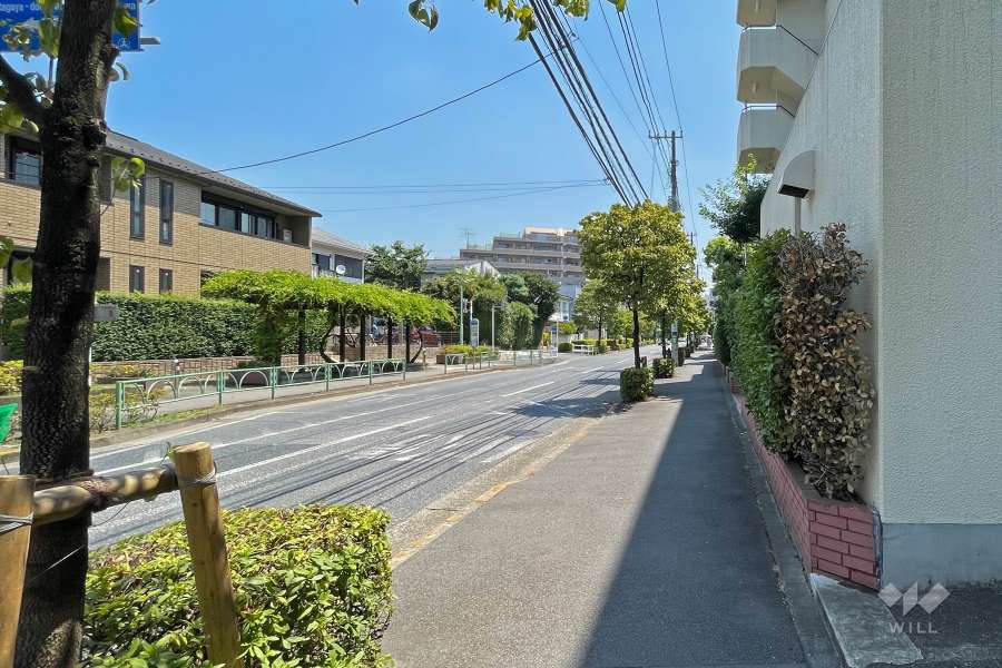 敷地北側の前面道路（西側から）