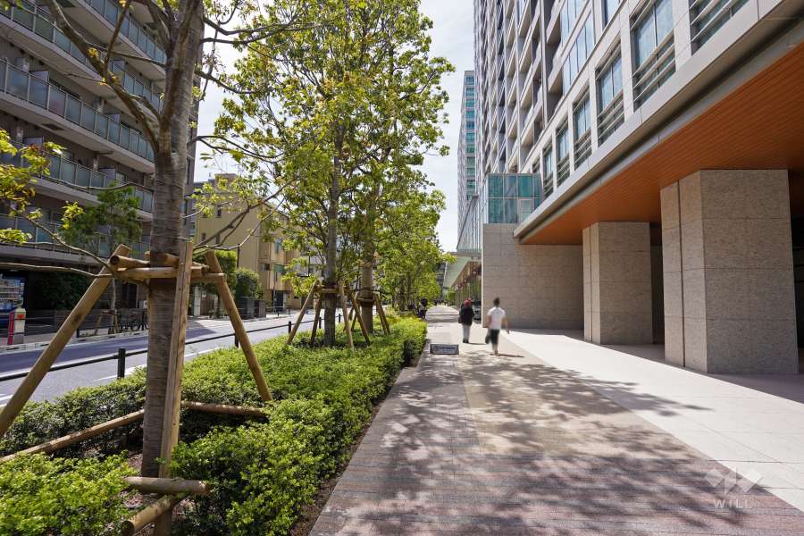 敷地南側の前面道路（東側から）