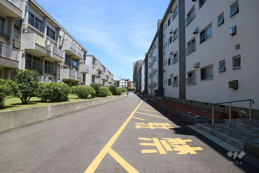 敷地北側の前面道路(西側から)
