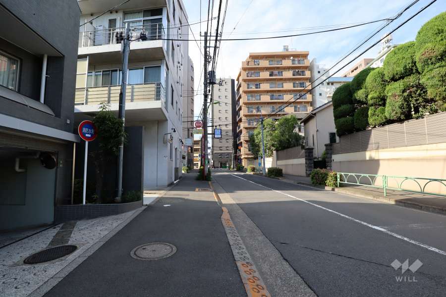 敷地の東側前面道路(南側から)