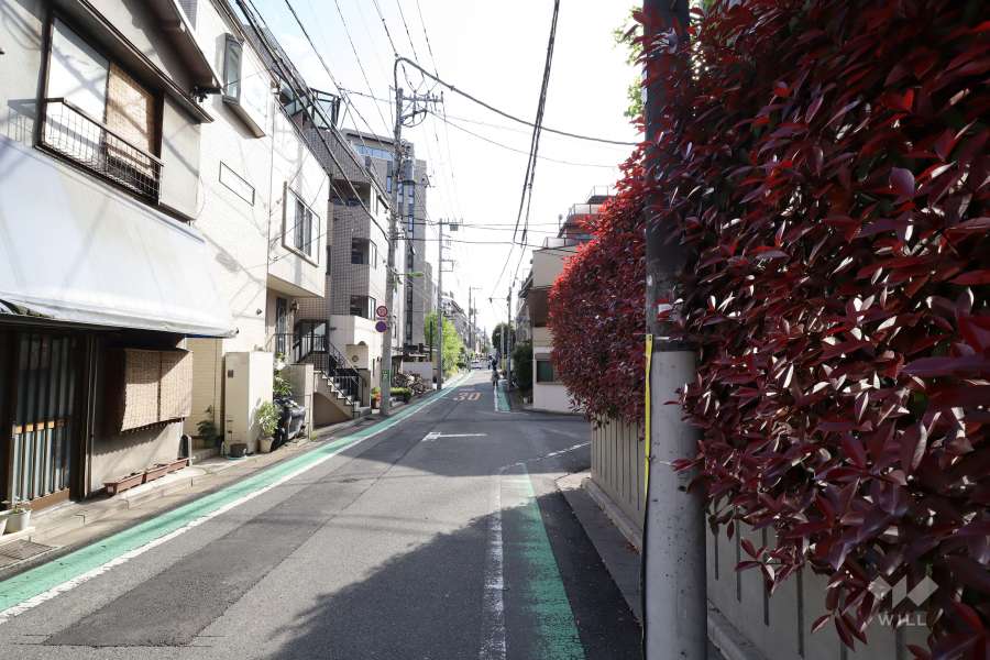 敷地の南東側前面道路(北東側から)