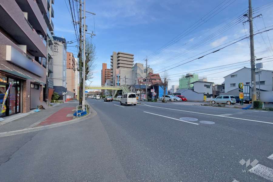 敷地南側の前面道路(西側から)