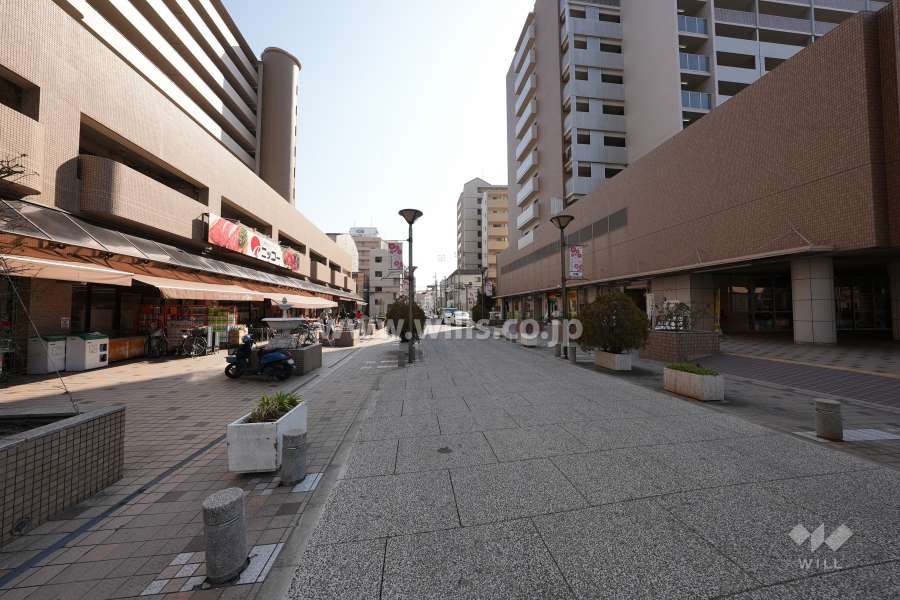 敷地の東側前面道路。タイル舗装されています。