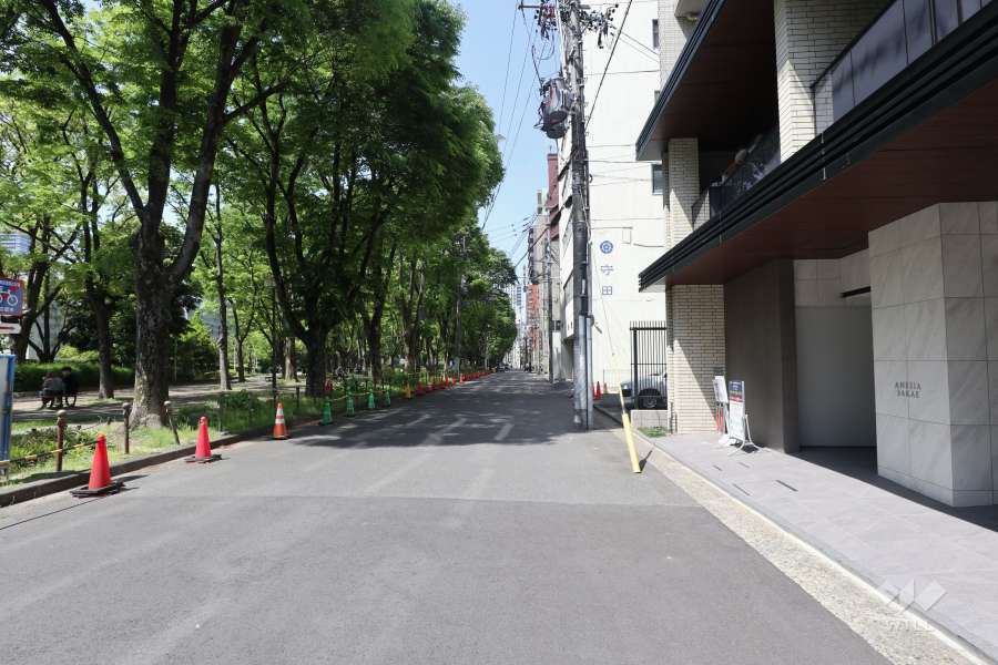 敷地西側の前面道路（南側から）　道路を挟んで『白川公園』に隣接しています。