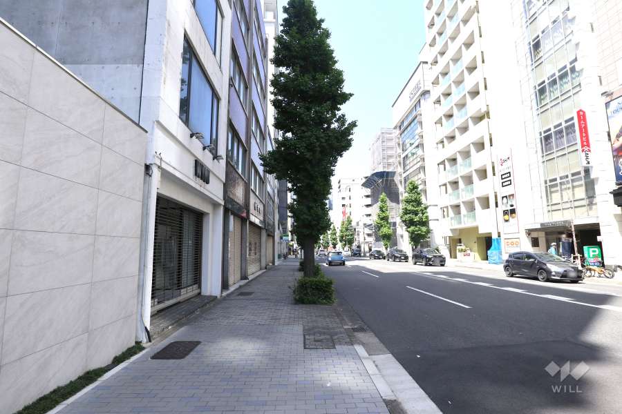 敷地東側の前面道路（南側から）