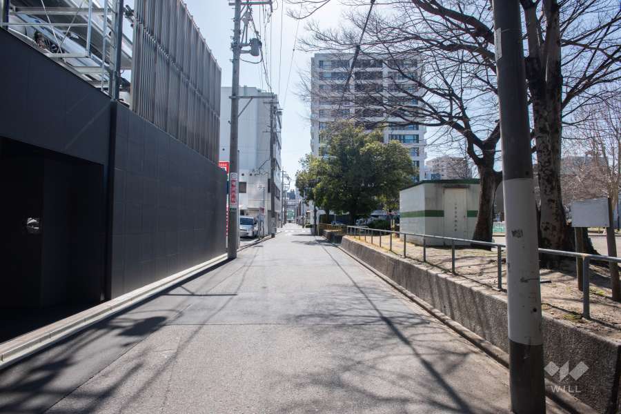 敷地西側の前面道路（北側から）