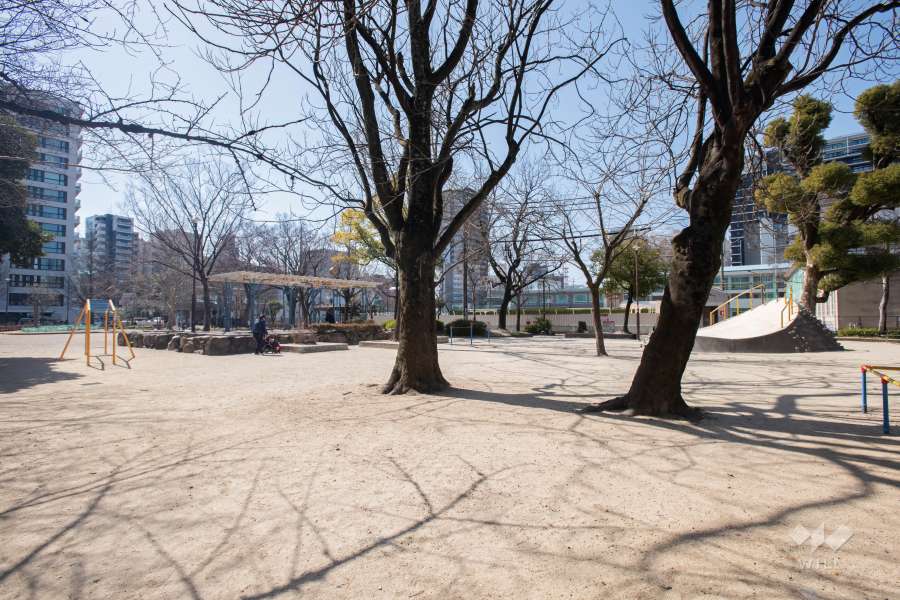 敷地西側にある布池公園