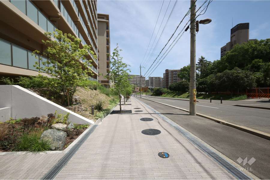 敷地南側の前面道路