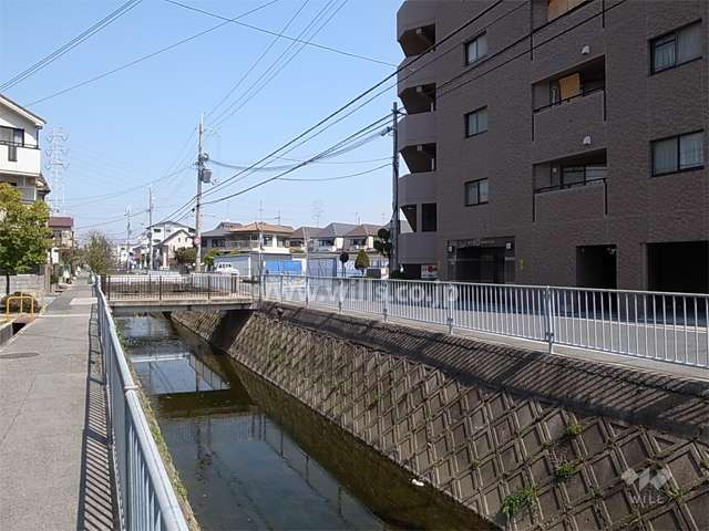 敷地の西側には道を挟んで水路が流れています。