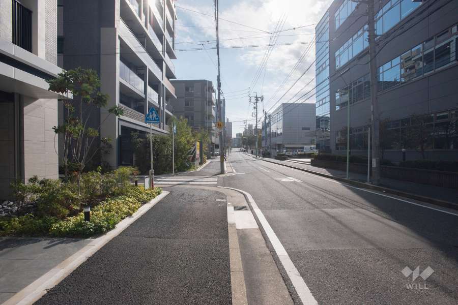 敷地西側の前面道路（北側から）