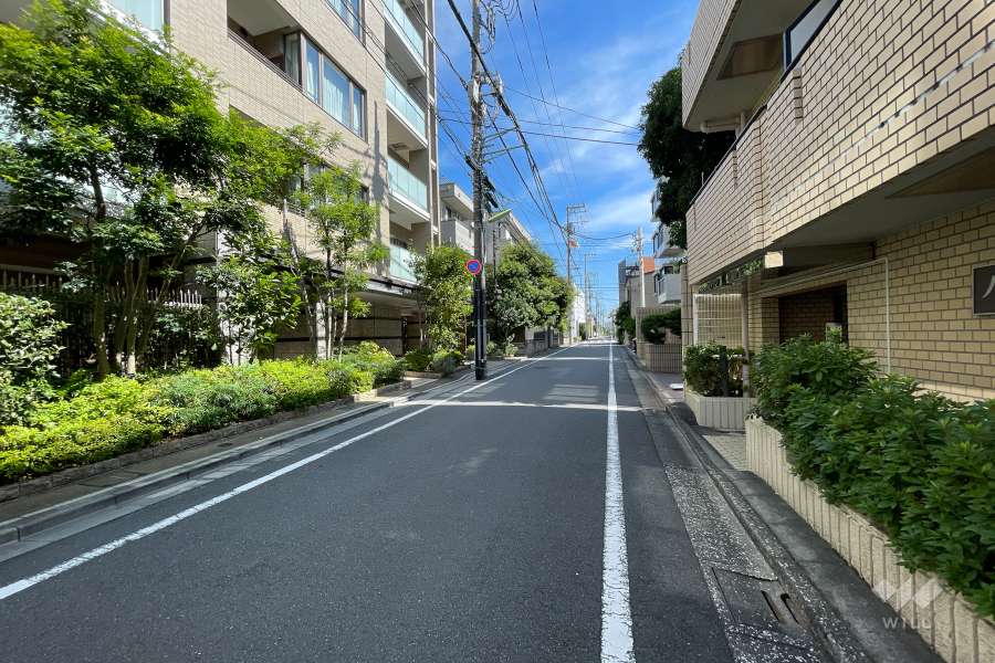 敷地北側の前面道路