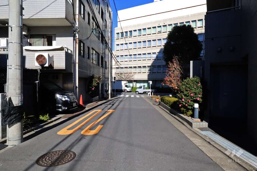 敷地東側の前面道路(南側から)