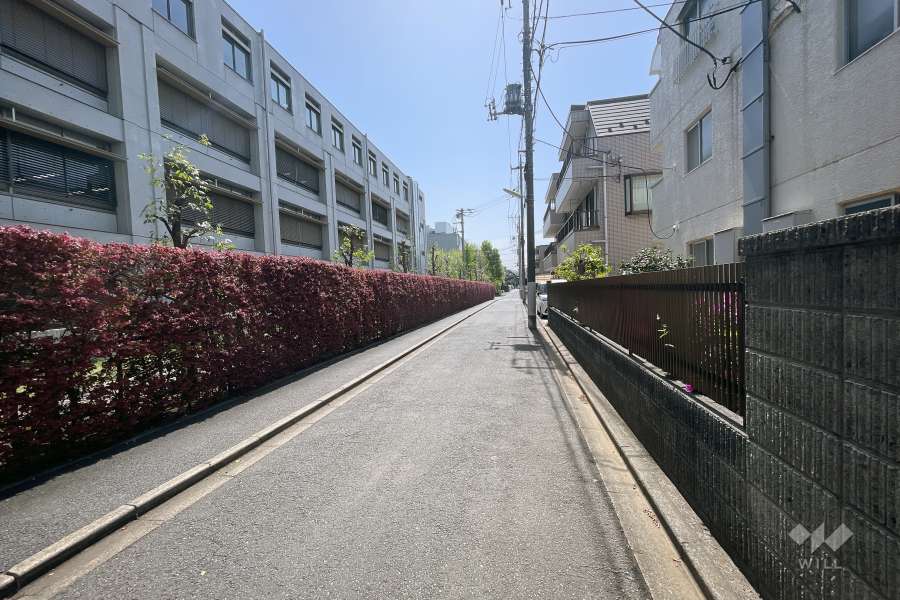 敷地東側の前面道路（南側から）