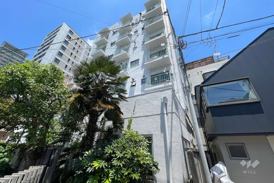 三田野沢コーポの外観（南西側から）