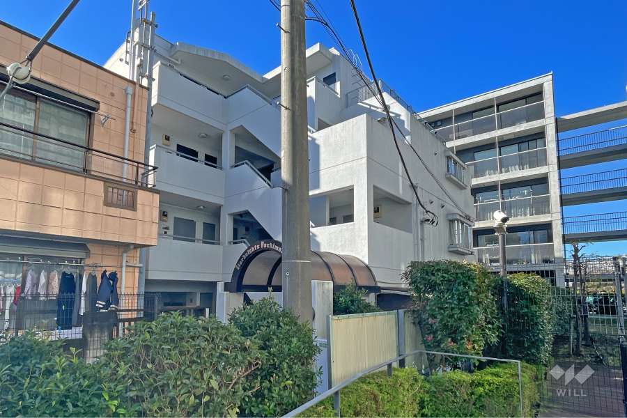 スターハイツ八幡山(上北沢)の外観（南東側から）