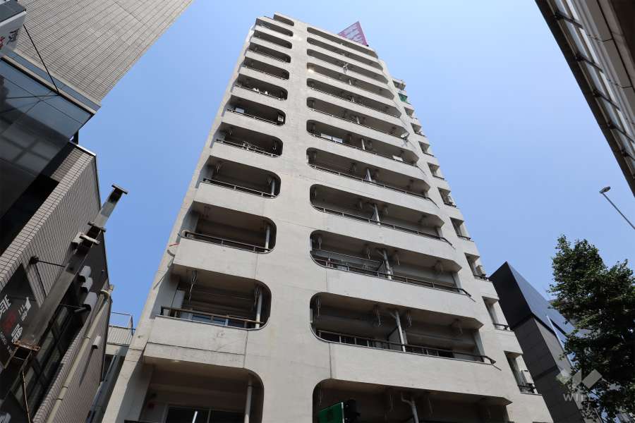 ニュー池尻マンションの外観（南西側から）