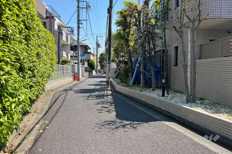 敷地北側の前面道路(西側から)