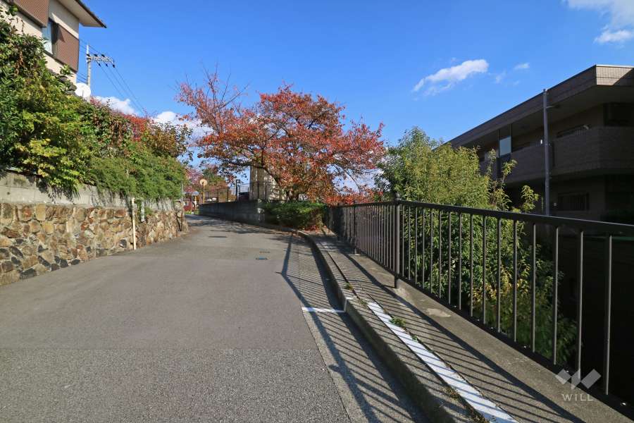 敷地北側の前面道路