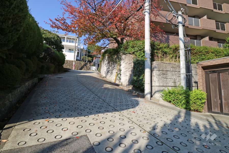 敷地西側の前面道路