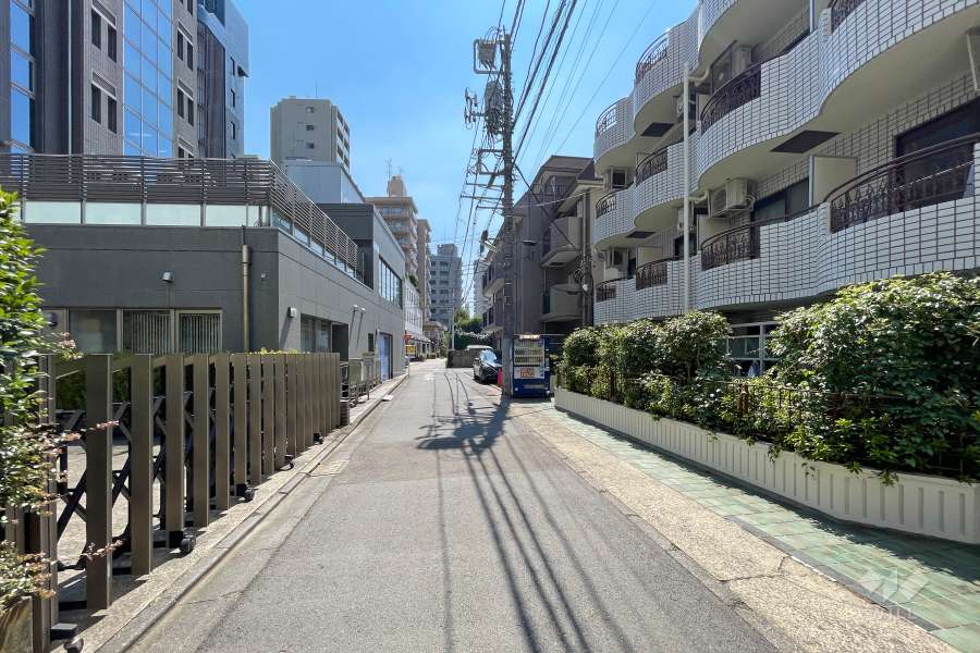 敷地南東側の前面道路　