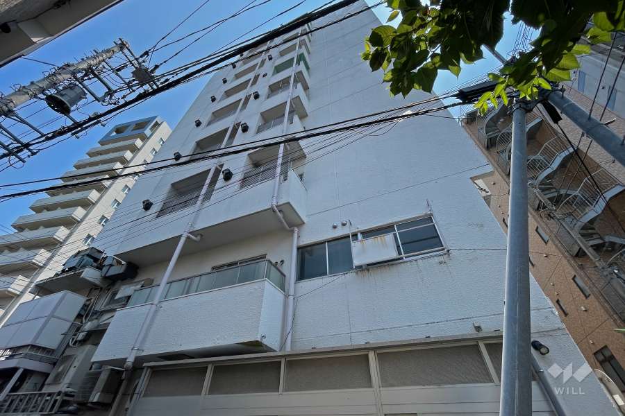 シャトレー駒沢の外観（北西側から）