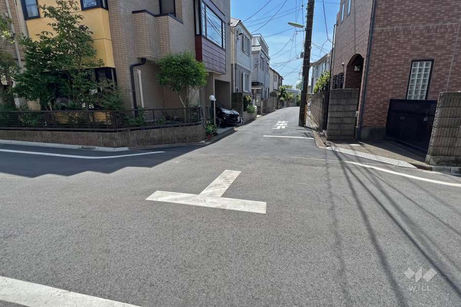 敷地南側の前面道路（北側から）