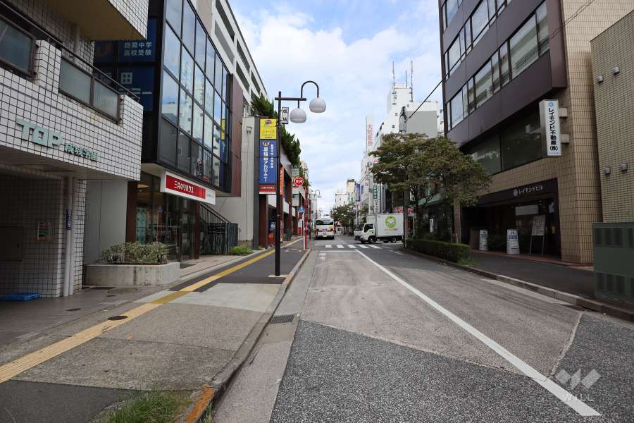 敷地南東側の前面道路（南西側から）