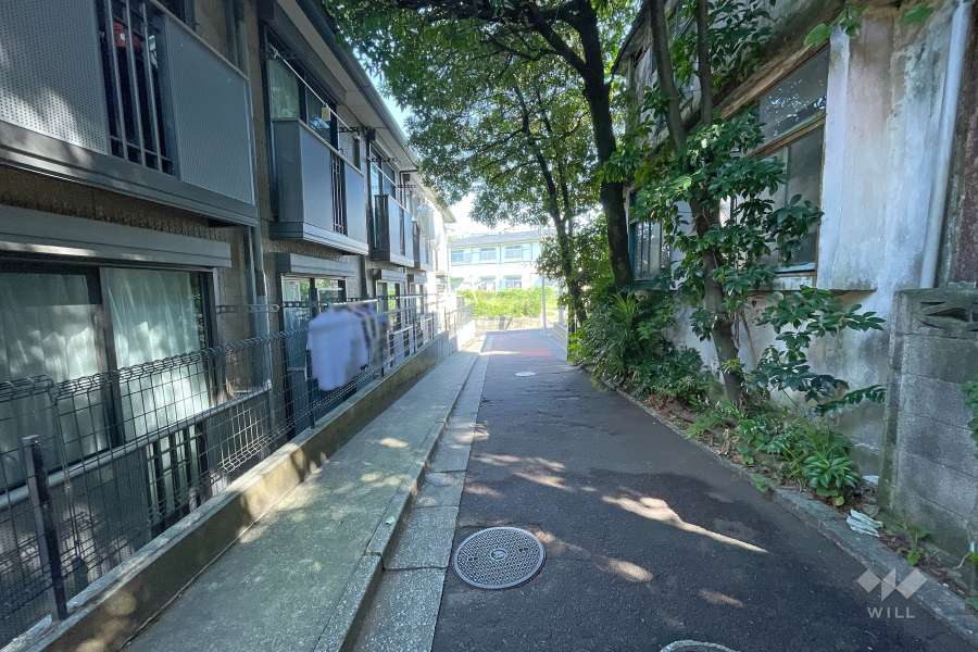 敷地東側の前面道路（西側から）