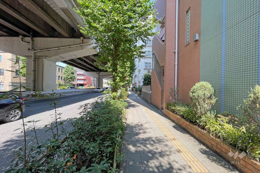 敷地北側の前面道路（西側から）