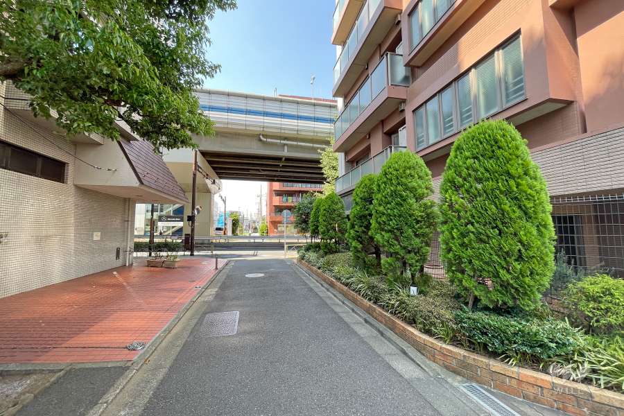 敷地西側の前面道路（南側から）