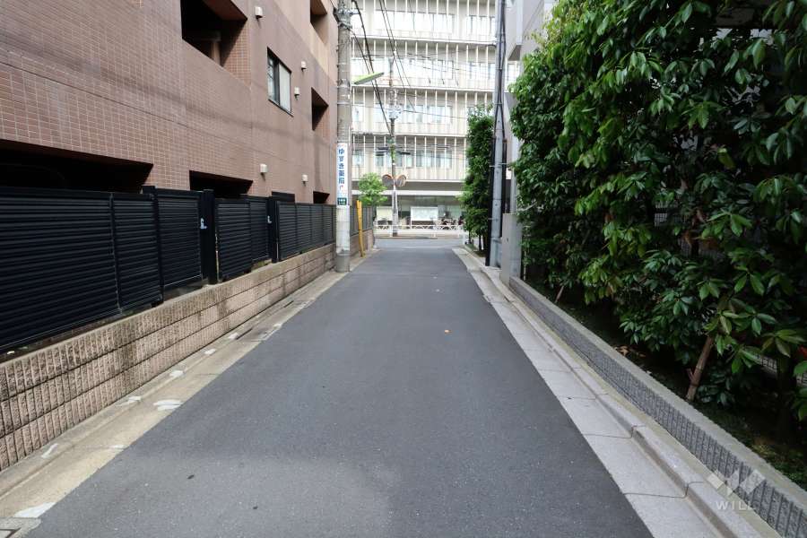 敷地南西側の前面道路(北西側から)