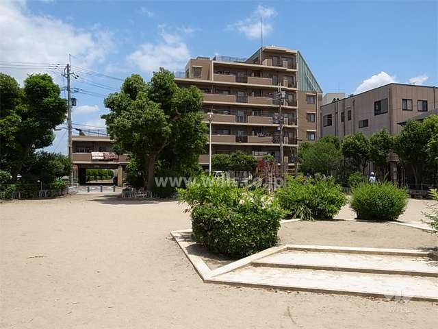 敷地の西側には道を挟んで公園があります。