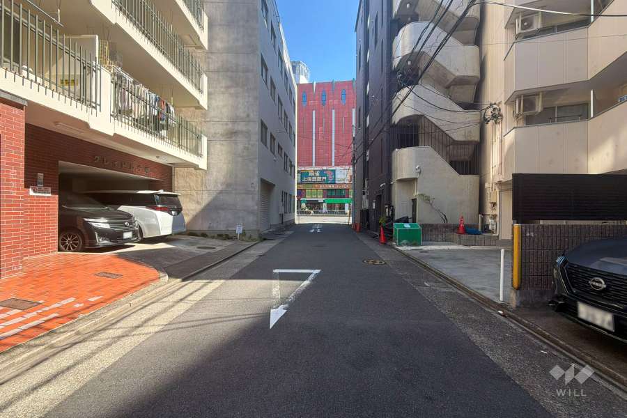 敷地南側の前面道路(西側から)