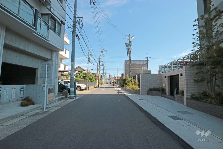 敷地北側の前面道路(西側から)